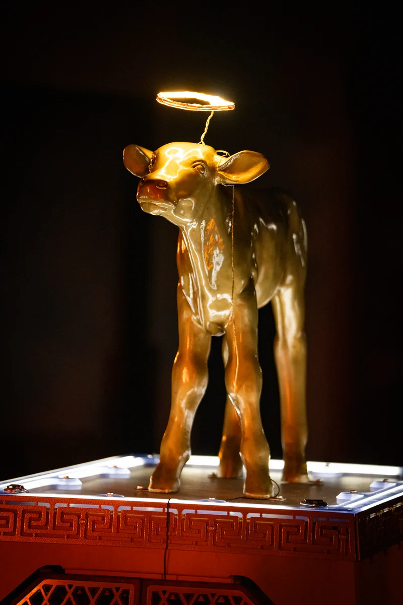 The Golden Calf, photo 8