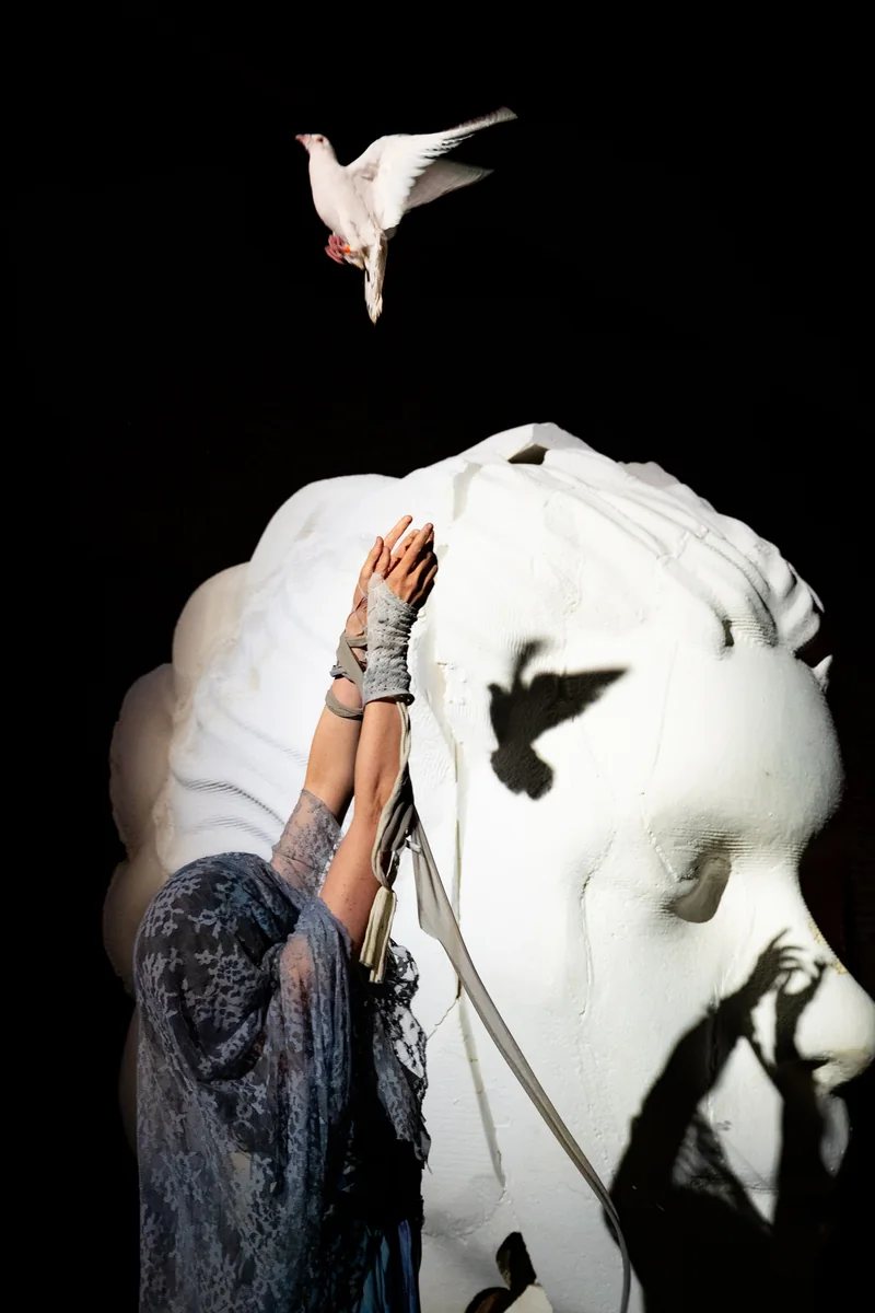 The Golden Calf, photo 13